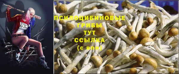 мескалин Каменногорск