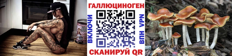 Псилоцибиновые грибы Cubensis Железногорск-Илимский
