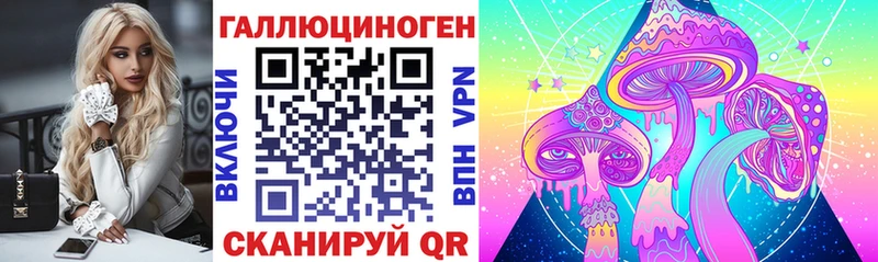 Псилоцибиновые грибы мицелий  Купить где  Железногорск-Илимский 